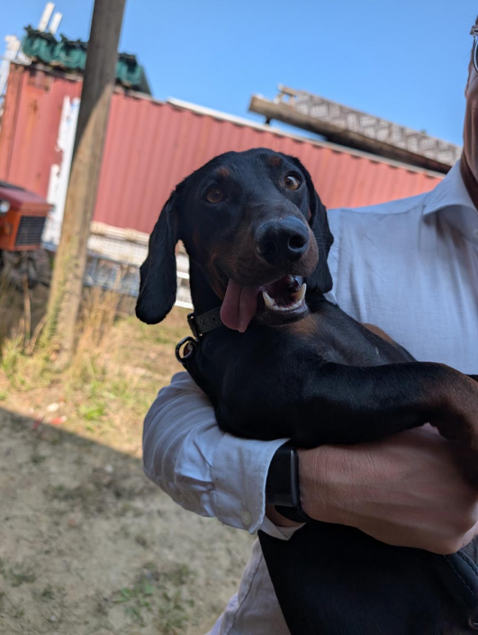 PXL_20250809_103232866.MP