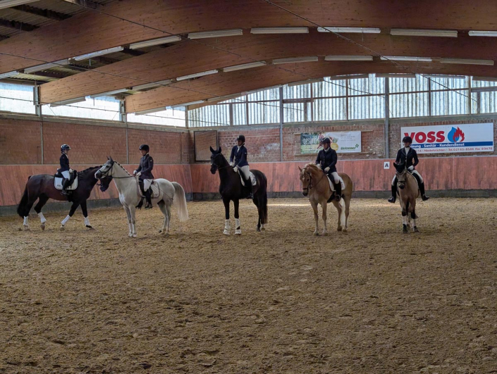 PXL_20250809_123644362.MP