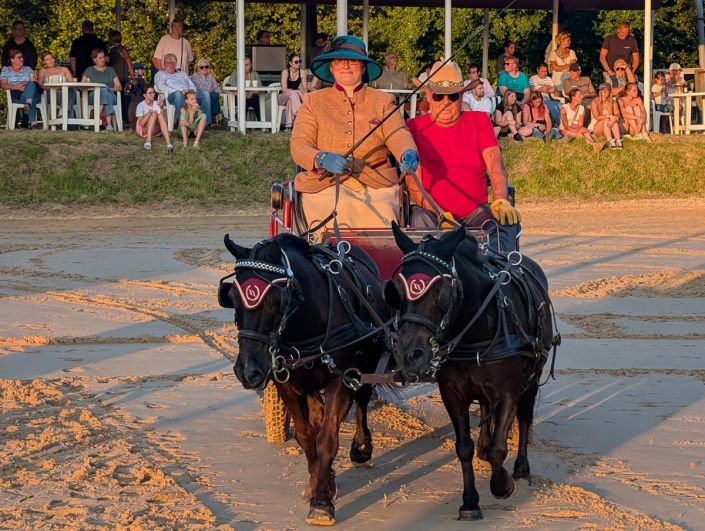 PXL_20250809_182724355.MP