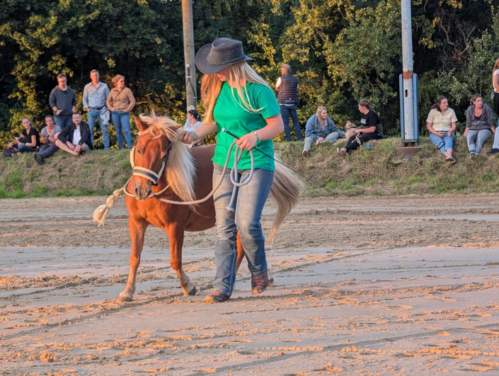 PXL_20250809_183204937.MP