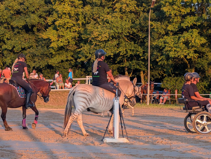 PXL_20250809_183807161.MP