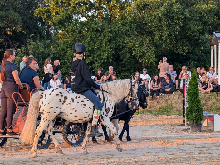 PXL_20250809_183902110.MP