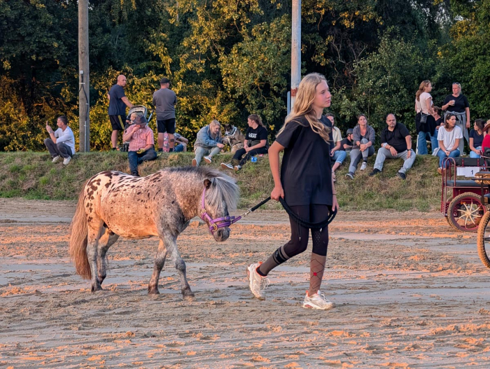 PXL_20250809_183916124.MP