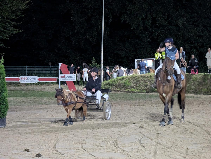 PXL_20250809_201147120.MP