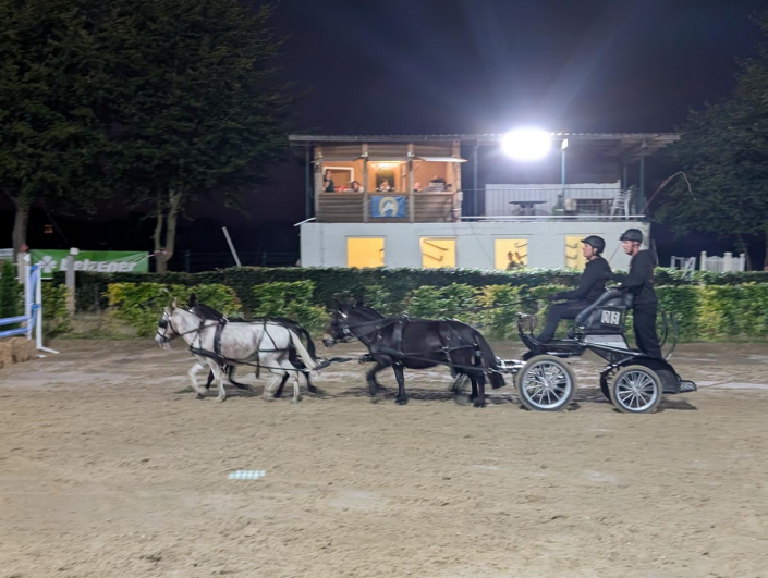 PXL_20250809_201937249.MP