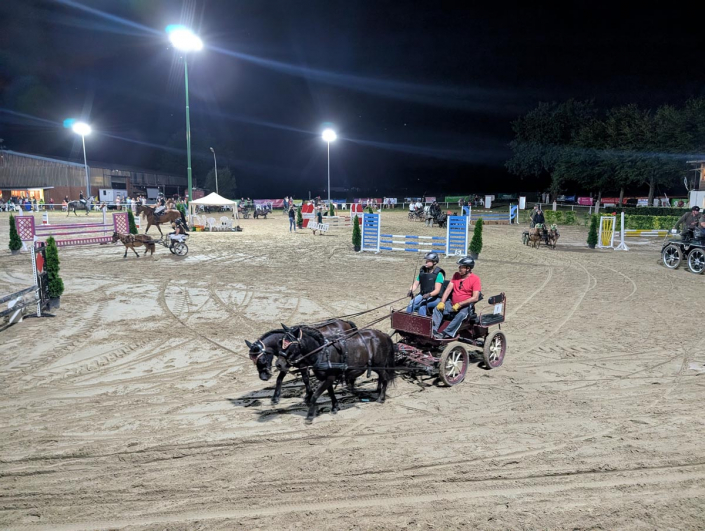 PXL_20250809_203010795.MP