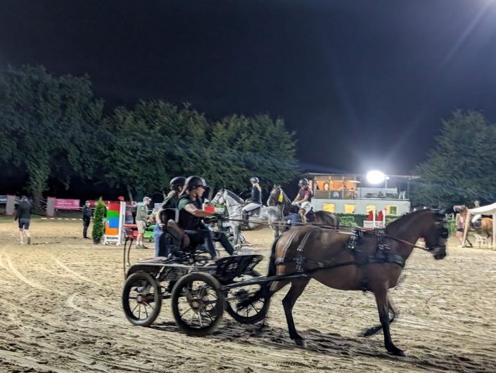 PXL_20250809_203733026.MP